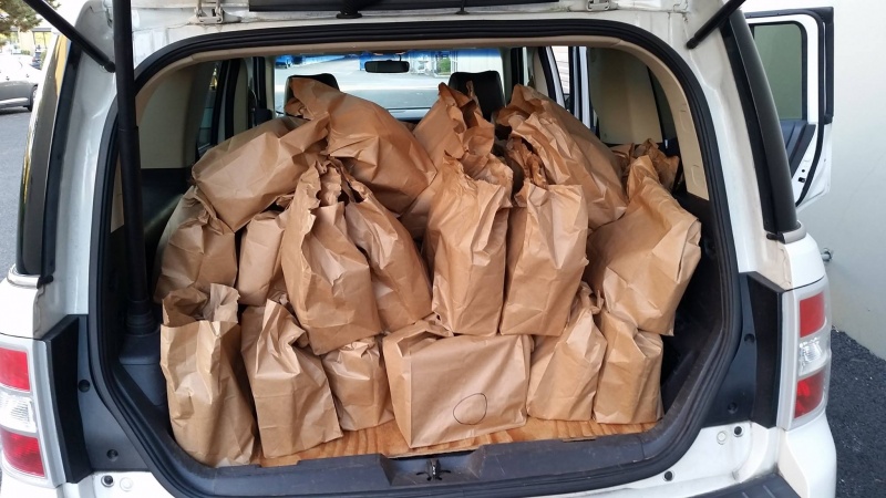 bpd car of bags